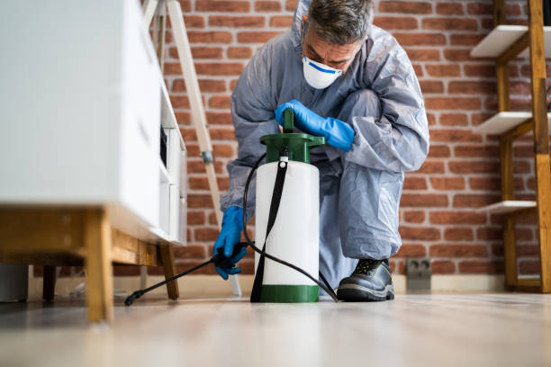 Best Commercial Pest Control  in Colton, CA